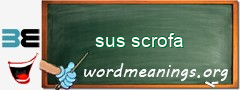 WordMeaning blackboard for sus scrofa